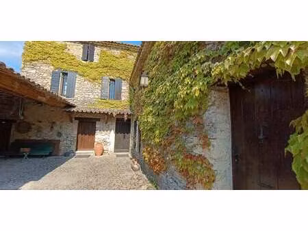 propriété avec piscine et jardin reilhanette (26)