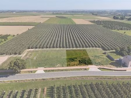 terrain à vendre à sint-truiden € 165.000 (lcx86) - immo top invest | zimmo