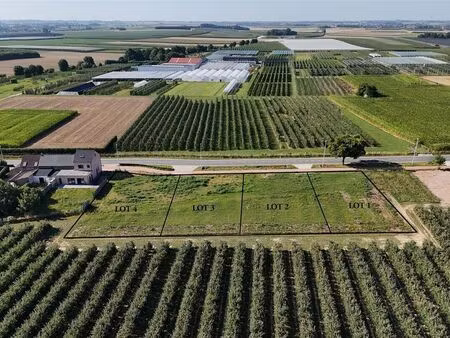 terrain à vendre à sint-truiden € 175.000 (lcx87) - immo top invest | zimmo