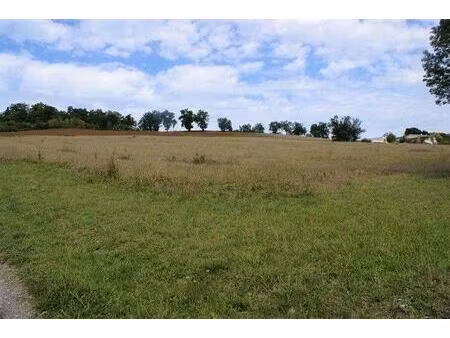aux portes de lectoure sur un site de loisirs  terrain constructible de plus d'un hectare