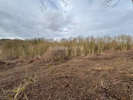 magnifique parcelle de 6964m² constructible pour promoteur ou lotisseur au coeur du villag