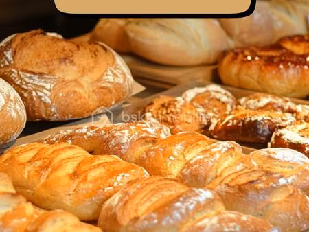 fonds de commerce à les arcs