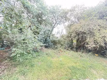 vente terrain 295 m² à le hézo (56450)  95 000 €