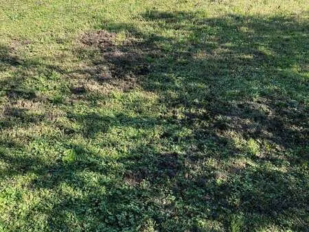 vente terrain à sainte-pazanne (44680) : à vendre / 402m² sainte-pazanne