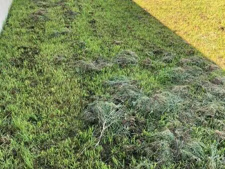 vente terrain à sainte-pazanne (44680) : à vendre / 422m² sainte-pazanne