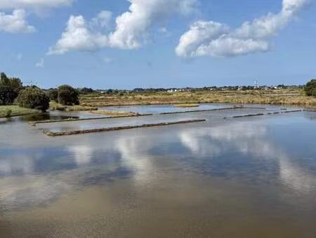 vente maison au pouliguen (44510) : à vendre / 171m² le pouliguen