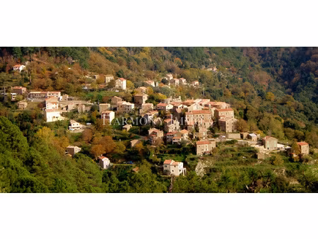 l'âme de la corse à rosazia . idéal maison famille ou créat