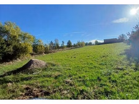 port ste marie 47130 terrain constructible 2339 m2