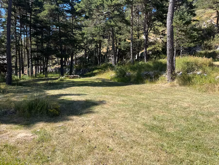 achat terrain 2 277m² caille 06750