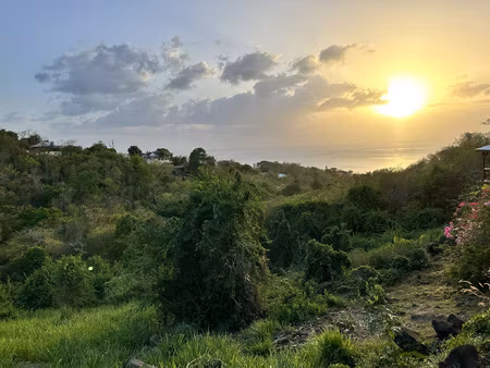 achat terrain 7 663m² bouillante 97125