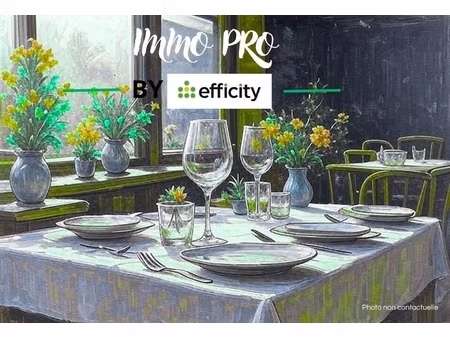 fonds de commerce - 217 m²