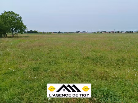 terrain a batir a sigloy