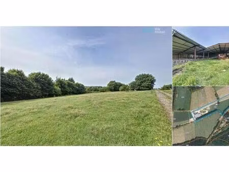 terrain agricole à vendre à rue philippe notin chimay (vbd17197)