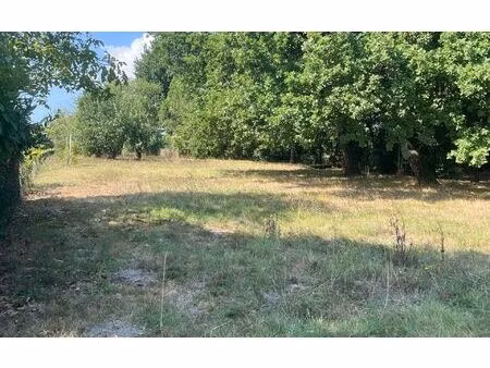 terrain arvert m² t- à vendre  159 000 €