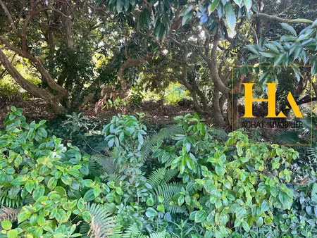 vente terrain 680 m² à saint joseph (97480)  138 000 €