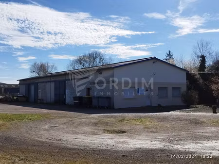 vente locaux professionnels 400 m² à tonnerre (89700)  215 000 €