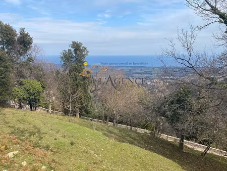 vente terrain à penta-di-casinca (20213)  298 000 €