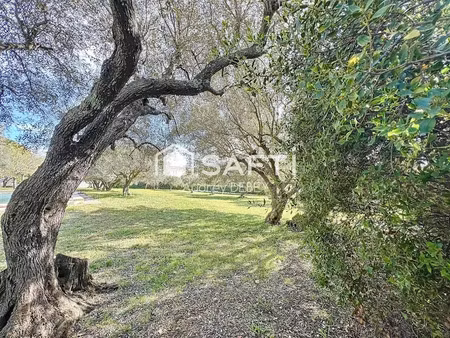 vente terrain 1000 m² à sanary-sur-mer (83110)  850 000 €