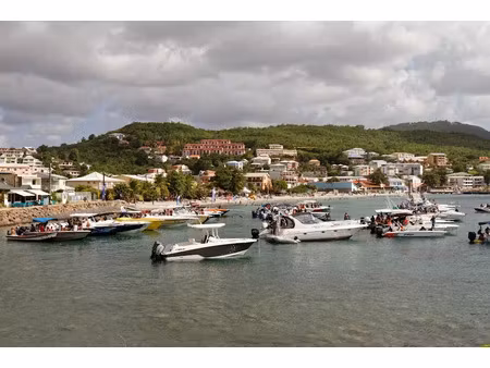 vente locaux professionnels 290 m² à les trois ilets (97229)  900 000 €