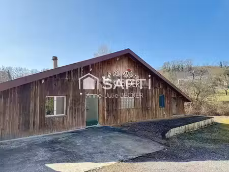 vente immeuble 0 pièces 700 m² à obergailbach (57720)  150 000 €