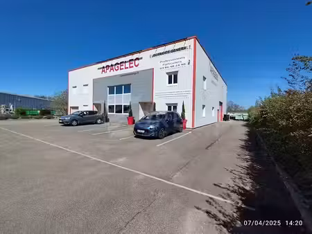 location locaux professionnels 0 pièces 520 m² à monéteau (89470)  2 855 €