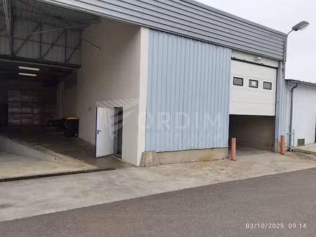 location locaux professionnels 223 m² à auxerre (89000)  1 698 €