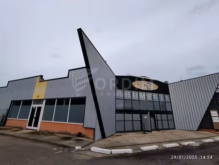 location locaux professionnels 260 m² à monéteau (89470)  2 385 €
