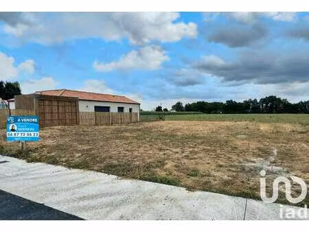 vente terrain à vieillevigne (44116) : à vendre / 438m² vieillevigne