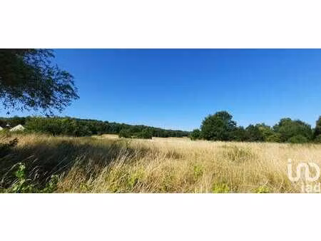 vente terrain à mareuil-sur-cher (41110) : à vendre / 5377m² mareuil-sur-cher