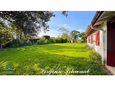 habas (40) - maison landaise rénovée – de plain-pied - 4 chambres – terrain 1 147 m² clos 