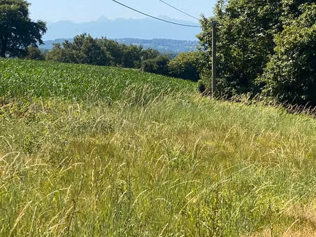 achat terrain 2 197m²