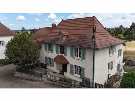 vente maison 10 pièces 224 m² à saint-christophe-en-brionnais (71800)  239 000 €