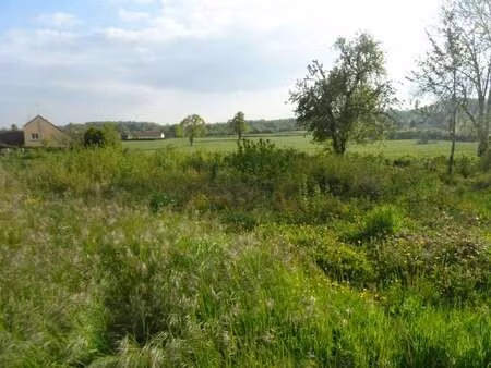vente terrain à la ferrière-bochard (61420) : à vendre / 596m² la ferrière-bochard