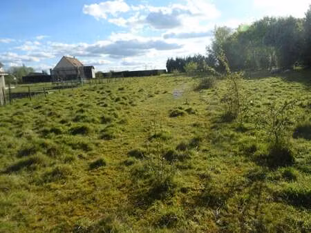 vente terrain à larré (61250) : à vendre / 3478m² larré