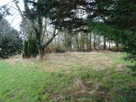 vente terrain à vingt-hanaps (61250) : à vendre / 1943m² vingt-hanaps