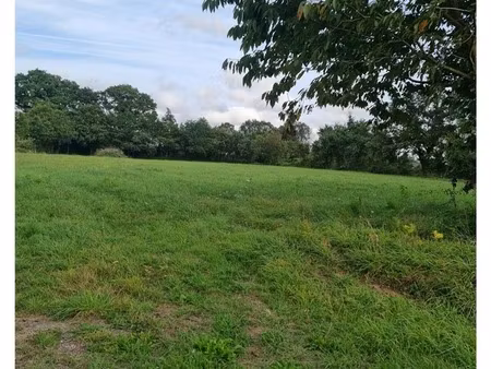 terrain à vendre de 865 m² limerzel (56)