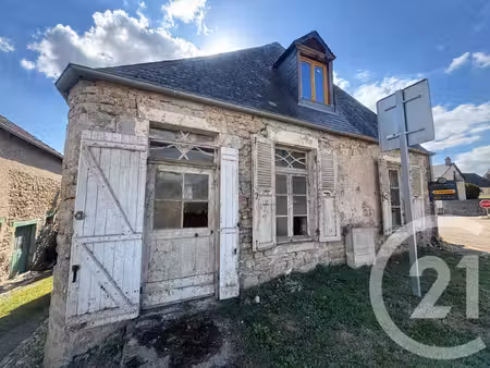 achat : maison (58110)