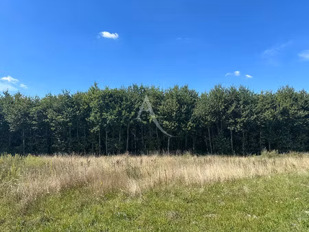 vente terrain 970 m² boigny-sur-bionne (45760)