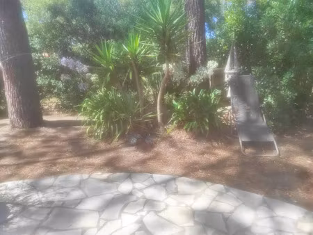 location maison 3 pièces 35 m² à lacanau (33680)  695 €