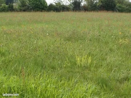 vends joli terrain