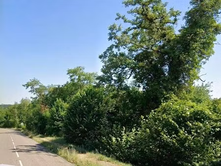 parcelle de terrain en friche