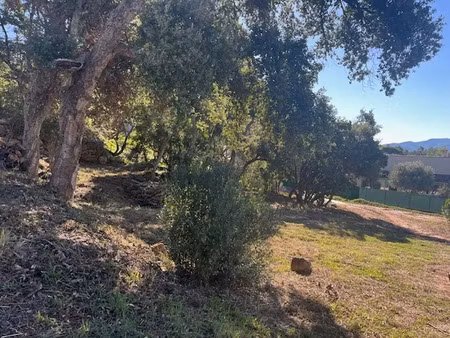 vente terrain 1200 m² vidauban (83550)