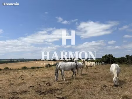 maison 37000 m² belmont