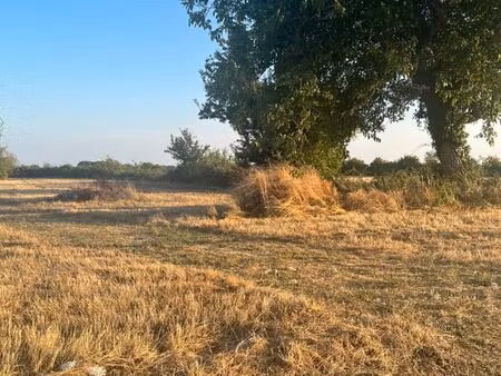 terrain constructible viabilisé