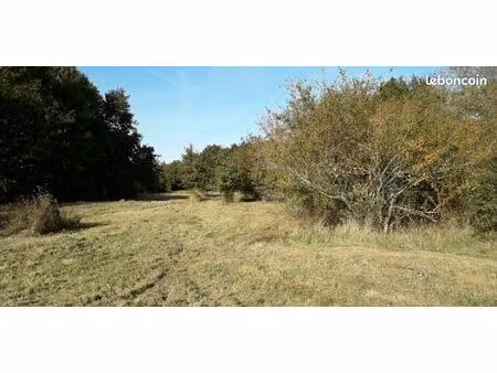 terrain constructible