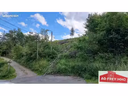 terrain 1164 m² muhlbach-sur-munster
