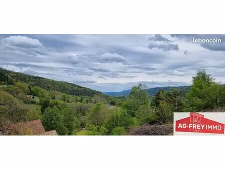 terrain 1353 m² muhlbach-sur-munster