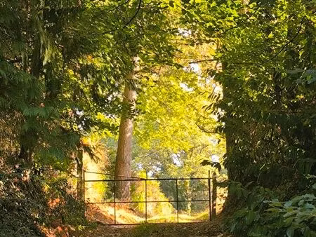 terrain constructible 2530 m2 à molac