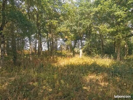 vends petit terrain boisé