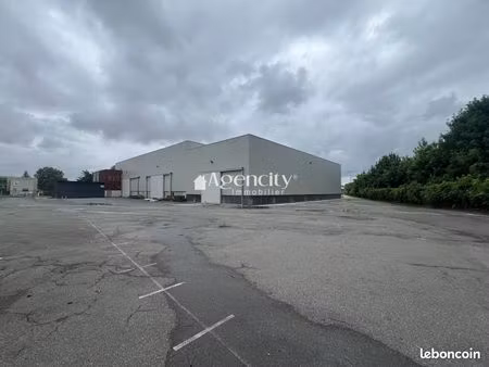 local 4911 m² chelles